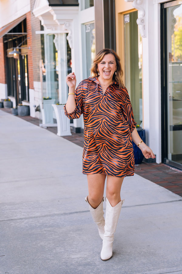 brown game day dress Phoenix Velvet Dress main image 0